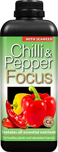 Chilli Focus 1 Liter Flasche. Die ultimative Nahrung für Chili wächst