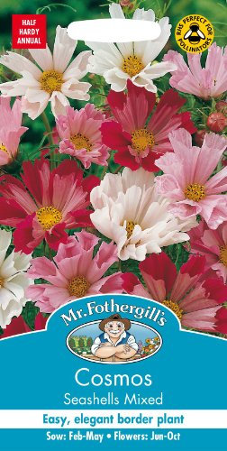 Mr Fothergills - Pictorial Packet - Flower - Cosmos Seashells Mixed - 60 Seeds