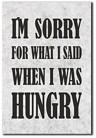 Homeyourself Hochwertiges Metallschild 30 x 20 cm aus Alu Verbund I´m Sorry for What i Said When i was Hungry Deko Schild Wandschild