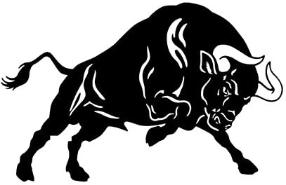 Asudaro Bull Auto Aufkleber, Reflektierende Aufkleber, Schwarz, 2 Stück, PVC, Retro, Tierdruck, Outdoor, Wasserfest