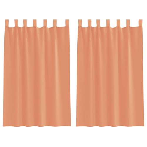 vidaXL Voile Vorhänge mit Schlaufen 2 STK. Terrakottarot 140x175 cm, Gardine, transparenter Vorhang, Fenster-Voile, Fensterdekoration