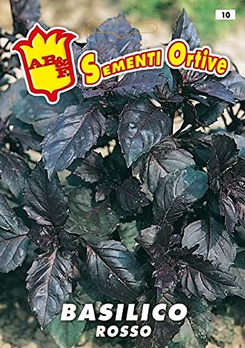 Basilico rosso in busta