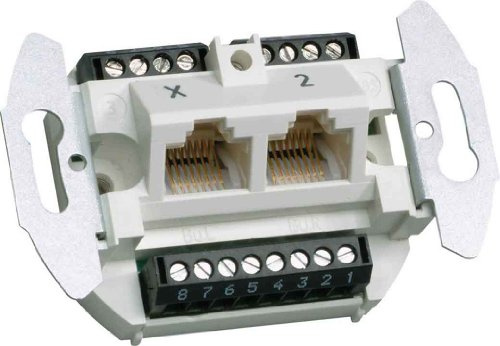 Tehalit UAE Anschlussdose 2-fach G 3120