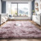 Lanyesky Tapis de Chambre Moelleux, décoration Moderne, Tapis de Salon, Grand Tapis de Couloir, Tapis en Peluche Moelleux Doux, Enfant de Fille de Chambre de Salon (120x160cm, Rose+Violet)