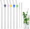 PTaizjjz Lot de 6 pailles en verre réutilisables, motif tête de mort sur pailles transparentes de 8 mm avec 2 brosses de nettoyage pour smoothies, boissons, milkshakes, jus