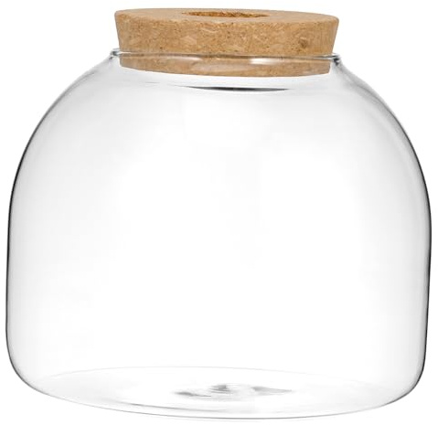 FELTECHELECTR Terrario Vaso Decorativo in Vetro per Piante Idroponiche con Tappo in Sughero in Vetro e Legno per Arredare Camera e Patio, per Appassionati di Artigianato
