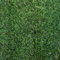 Siepe Artificiale Ornamentale in Rotoli con Foglie ad Ago Largo Interni Esterni (100x300x3)