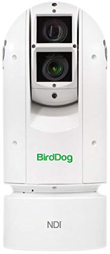 BirdDog Eyes A300 PTZ Kamera in Weiß IP67 Extreme Wetterbeständig Full NDI w/Sony Sensor & SDI