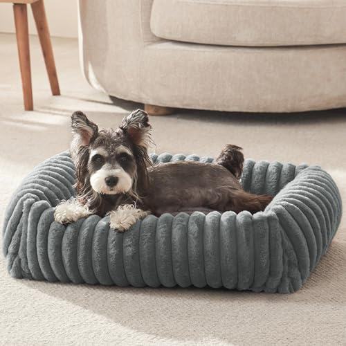 FURTIME Washable Dog Bed for Small Dogs, Cat Beds for Indoor Cats, 20