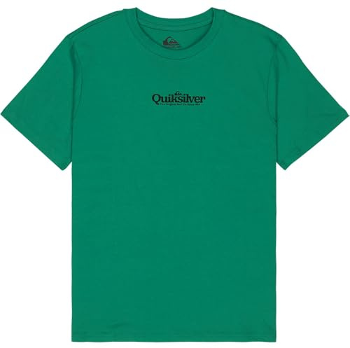 Quiksilver Herren Fineline Ss T-Shirt (1er Pack)