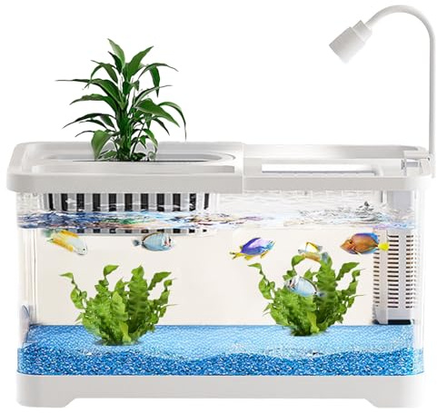 Betta Aquarium – 30 x 19 x 18 cm Fisch-Lebensraum, transparente Garnelenschale, Schildkröten-Guppy-Unterschlupf, Landschafts-Ausstellungs-Tank für Desktop-Wohnung, Tierliebhaber, Anfänger, Einrichtung