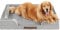 Codi Extra großes Hundebett aus Memory-Schaum, waschbar, orthopädisches Hundebett mit abnehmbarem Reißverschlussbezug, wasserdichtes Hundebett, Sofa, Bett, Grau, 106 x 81 x 8,9 cm
