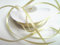 CaPiSo 100m Satinband 3mm Schleifenband Geschenkband Dekoband Satin Hochzeit Weihnachten Weihnachtsband (Champagner)