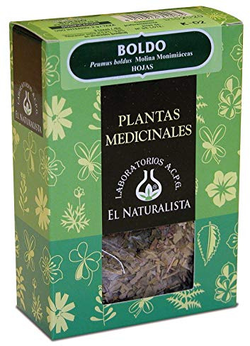 The Naturalistic Boldo Plant – 70 g