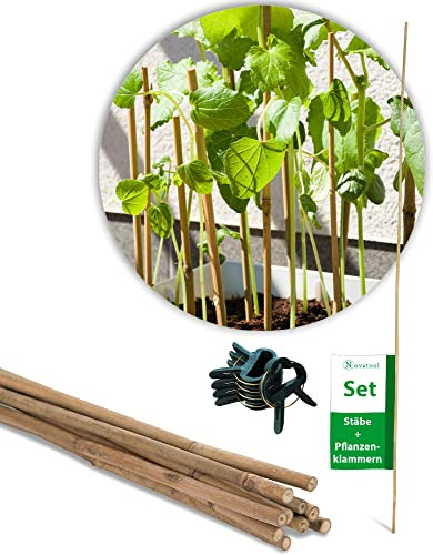 Novatool 10x Tonkinstäbe 120 cm und 20x Pflanzenclip I Rankhilfe Bambusstäbe Pflanzstab Tomatenrankhilfe I Pflanzenhalter Bambusstab für Pflanzen Rankhilfe Zimmerpflanzen Kletterpflanzen