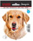 Avisa AutoTattoo Aufkleber Golden Retriever - 11x12cm