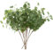 HNVNER 6 Bündel Künstliche Eukalyptus Deko, Grüner Eukalyptus Zweige Blätter Kunstpflanzen Realistische Eukalyptusstiel Gefälschte Pflanze für Hochzeit, Party, Haus, Büro Dekoration Blumenarrangement