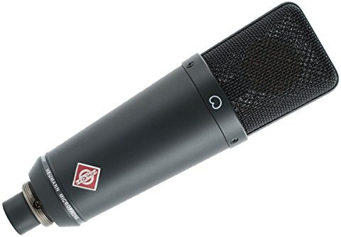 Neumann TLM 193 - Micrófono (Etapa/rendimiento, 20-20000 Hz, 50 Ohmio, Alámbrico, 49 x 175 mm, 480g) Negro