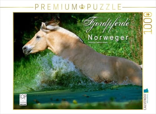 CALVENDO Puzzle EIN Motiv aus dem Kalender Fjordpferde - Norweger | 1000 Teile Lege-Größe 64 x 48 cm Foto-Puzzle für glückliche Stunden