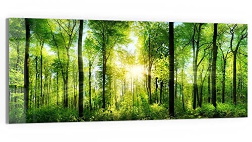 DEQORI Glasbild Echtglas | Motiv Sonne durchbricht Wald | horizontal einteilig 150x60 cm | schöne Dekoration | Wandbild für Wohnzimmer, Schlafzimmer, Flur & Küche | moderne Wanddeko