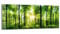 DEQORI Glasbild Echtglas | Motiv Sonne durchbricht Wald | horizontal einteilig 150x60 cm | schöne Dekoration | Wandbild für Wohnzimmer, Schlafzimmer, Flur & Küche | moderne Wanddeko