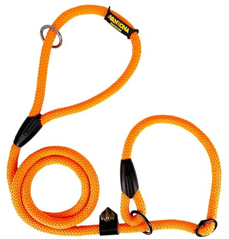 Laisse pour Chien en Corde avec Collier Matingale, Anti-Traction. 160M. Orange