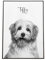SOMEDA® Haustier Portrait/Hund, Katze, Pferd, etc./ als Poster, Leinwand oder gerahmtes Bild/personalisiertes Geschenk Tierbesitzer