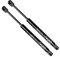 BOXI 2 x Kofferraum-Aufzugshalter für Buick Century 00–05, Buick Regal 99–04, Oldsmobile Intrigue 98–02 Kofferraum mit Spoiler SG430025, 10419581