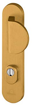 Bricard 9900031 9900031-Juego de tiradores blindados para puerta de entrada (para cilindro europeo), color dorado, Béquille+Aileron