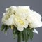 Seidenblumen Roß Pfingstrosenbund mit 8 Blüten 36cm weiß-Creme DP Kunstlbumen künstliche Pfingstrosen Strauß