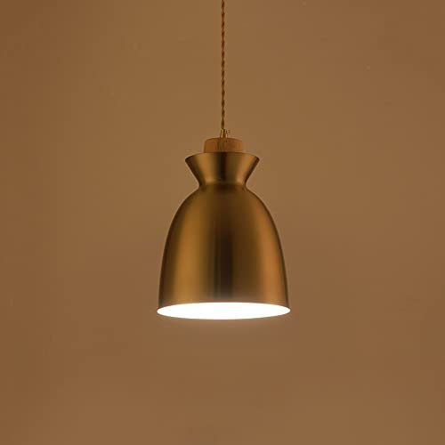 Pendelleuchte aus galvanisiertem Messing mit Eisenkörper E27 Single Head / Hanging Wire Verstellbare Hängelampe mit Wood Decor Ideas Kronleuchter Arbeitszimmer Schlafzimmer Esstisch Beleuchtung Dekora