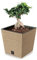 Cuadrado de madera grano aspecto ECO maceta baja planta maceta cubremacetas interior exterior jardín decoración 33% madera (natural)