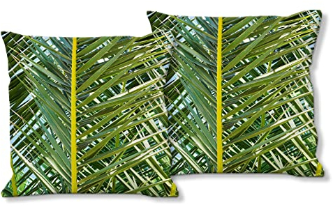 Glücksvilla / Künstler-Foto-Kissen-Hüllen/Kissen-Bezüge Set (2 STK.) 40 x 40 cm, Zierkissen/Deko-Kissen. Motiv: Palmenfächer 2 / mediterrane Fotografie Palme Garten-Pflanzen Natur
