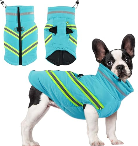 ACTOYS Wasserdichter Hundemantel - Winter Warme Hundejacke Mit Geschirr, Reflektierend Hundekleidung für Kleine und Mittlere Hunde
