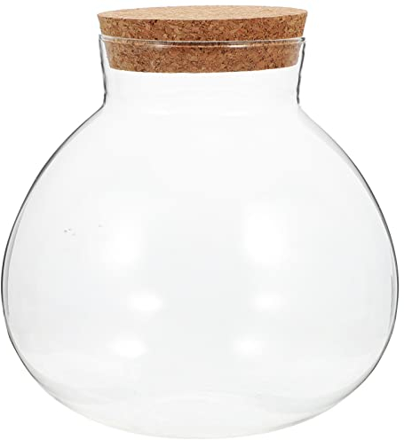 LIFKOME 1 Oder 2 Stück Glas-Pflanzenterrarium Transparente Tisch-Terrariumbehälter Aus Glas Mit Deckel Glas-Sukkulentenglas Luftpflanzen-Pflanzgefäß