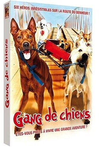 Gang de chiens [FR Import]