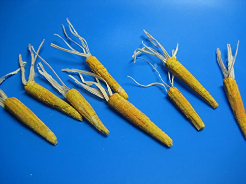 12 Maiskolben f. den Krippenbau, handgefertigt