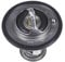 Blue Print ADC49205 Termostato, Refrigerante