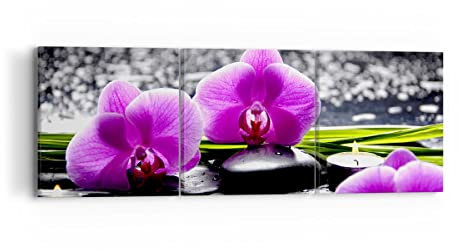 Mehrteilige Bilder auf Leinwand Orchidee Natur Wasser Blume Leinwandbild 90x30cm Wandbilder Dekoration Wohnzimmer Schlafzimmer Set 3 teilige Klein Wanddeko Bild Wand Kunstdruck Art Canvas CA90x30-2658