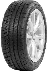 DAVANTI - 295/35 R21 TL 107V WINTOURA+ XL BSW M+S 3PMSF - Winterreifen