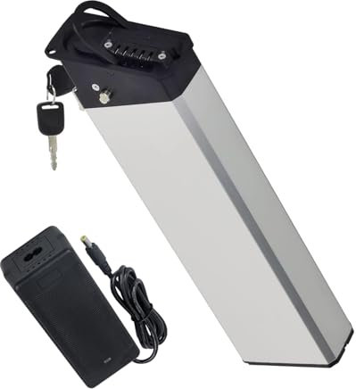 Xiseny Batteria E-Bike 48V 15Ah/17.5Ah per Biciclette Elettriche Pieghevoli Engwe PRO 2, Engwe Engine X, per Motori 250-1000W, Batteria al Litio Integrata con BMS e Caricatore (48V17.5Ah)