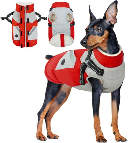 Hundemantel für Kleine Hunde, Winterjacke Hund Wintermantel Kleine Hunde Regenmantel Hundepullover Kleine Hunde Hundemantel Chihuahua(Rot, XS)