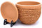 Sun Cakes Pot de Fleurs en Terre Cuite avec Soucoupe et Plateau d'égouttement (12 cm x 10 cm, Naturel)