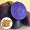 100 semi di patate commestibili, gustosi, a crescita rapida, saporiti semi di piante per corridoio Viola