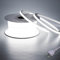 BENLUN Ruban LED Neon 220V 10M, 6000K Blanc Froid LED Strip Light Exterieur Etanche, Bande LED Sans Transformateur, 10W/M 900LM/M Flexible Néon pour Chambre Salon Cour Décoration