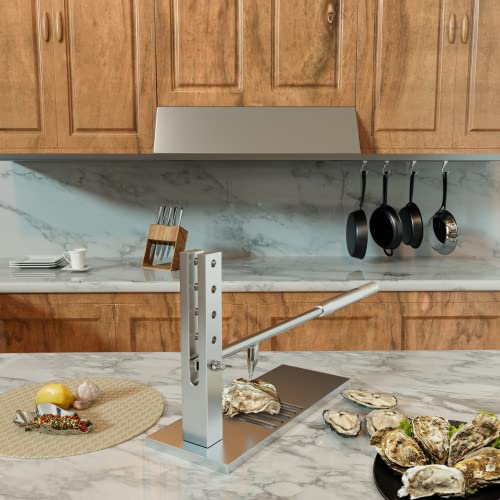 TripDock Kit profesional de ostras – Material de acero inoxidable – con cuchillo de ostras y plato para hornear ostras – apto para fiestas de barbacoa