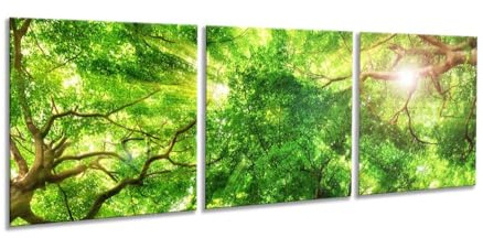 artissimo Glasbilder 3 teilig je 50x50 cm Wald Baumkronen AG5287A – Glasbild Set modern, mehrteilig, XXL Wandbilder, Wanddeko Bild grün natur