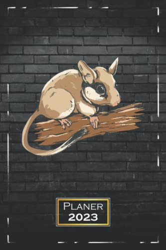 Planer 2023: Maus, Tier | A5 (6x9) | Softcover | 1 Woche auf 2 Seiten | mit Monatsübersicht & Kontakttabelle | Nagetier | qd2
