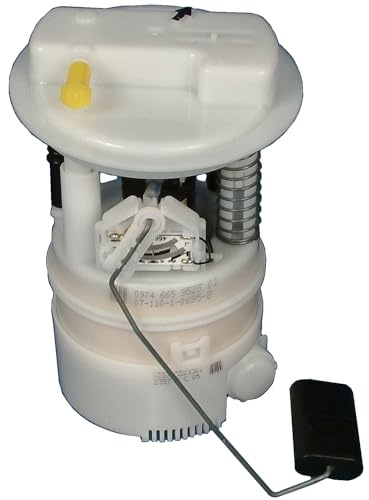 DELPHI FE10052-12B1 Pompa benzina senza guarnizione senza sensore pressione elettrico elettrico Benzina