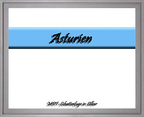 MDF-Leerrahmen ASTURIEN speziell für Leinwandbilder BZW. Keilrahmenbilder im Format 30 x 100 cm. Schattenfugenrahmen in der Farbe: Silber. 10 Farben zur Auswahl